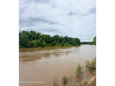 Riverfront Retreat With Panoramic Views, Sandbar Access & Boat - photo 20