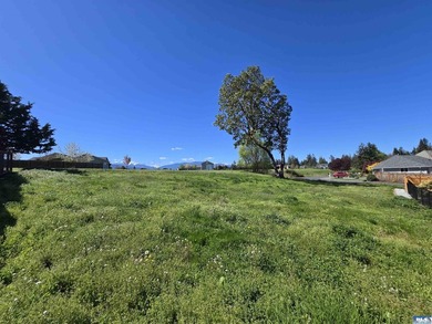 Contemporary single-level 3br, 2ba, plus office/den home in - photo 43