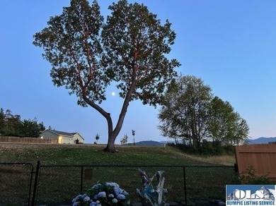 Contemporary single-level 3br, 2ba, plus office/den home in - photo 45