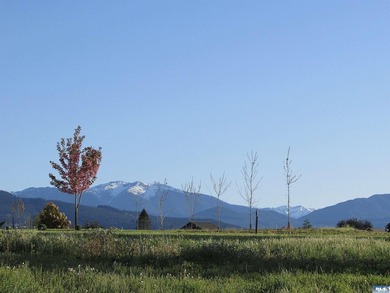 Contemporary single-level 3br, 2ba, plus office/den home in - photo 46