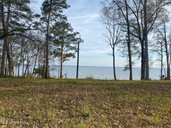 Ross Barnett Reservoir Lot For Sale in Madison Mississippi