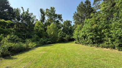Lake Lot For Sale in Milam, Texas