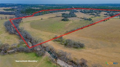 (private lake, pond, coastal) Acreage For Sale in Oglesby Texas