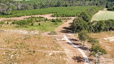 LOOKING FOR ACREAGE W/ A HOME??? Look no further! This 83 - photo 3