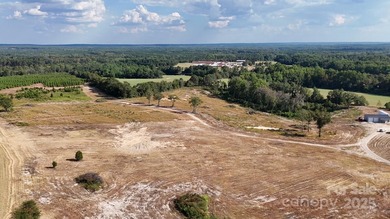 LOOKING FOR ACREAGE W/ A HOME??? Look no further! This 83 - photo 5