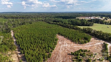 LOOKING FOR ACREAGE W/ A HOME??? Look no further! This 83 - photo 6