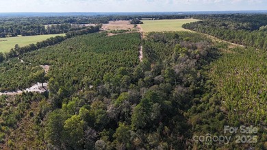 LOOKING FOR ACREAGE W/ A HOME??? Look no further! This 83 - photo 7