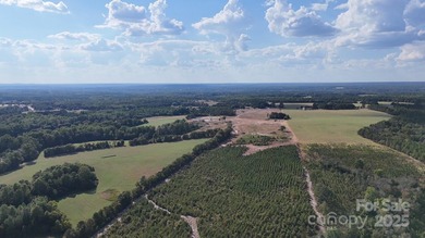 LOOKING FOR ACREAGE W/ A HOME??? Look no further! This 83 - photo 8