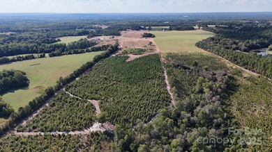 LOOKING FOR ACREAGE W/ A HOME??? Look no further! This 83 - photo 9