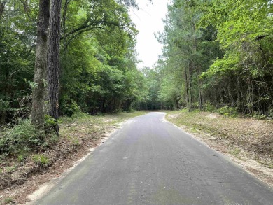 Lake Acreage For Sale in Jasper, Texas