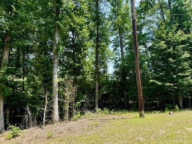 B A Steinhagen Lake Acreage For Sale in Jasper Texas