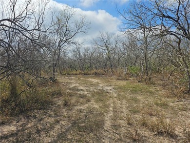 Discover 10.474 acres of beautiful South Texas land in San - photo 11