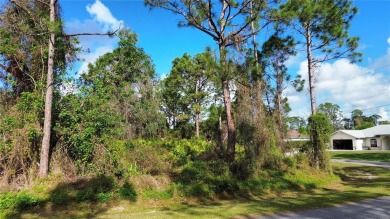 Northport Waterway Lakes and Canals Lot For Sale in North Port Florida