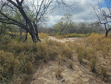 Discover 10.474 acres of beautiful South Texas land in San - photo 12