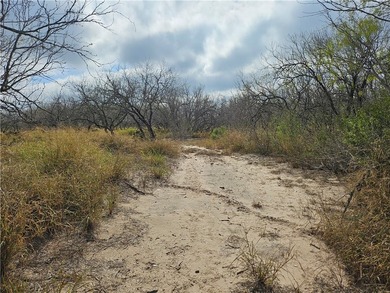 Discover 10.474 acres of beautiful South Texas land in San - photo 13