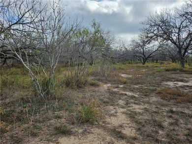 Discover 10.474 acres of beautiful South Texas land in San - photo 14