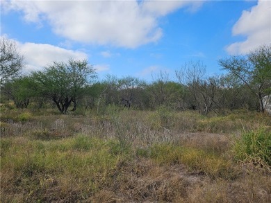 Discover 10.474 acres of beautiful South Texas land in San - photo 15