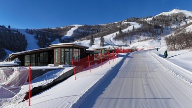 This exquisite ski-in/ski-out masterpiece is nestled in the - photo 15