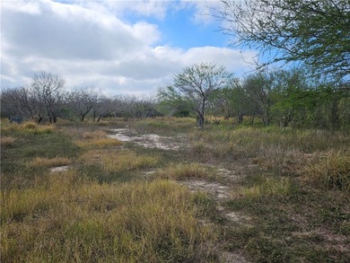 Discover 10.474 acres of beautiful South Texas land in San - photo 16