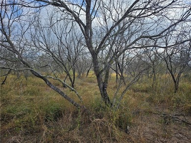 Discover 10.474 acres of beautiful South Texas land in San - photo 17