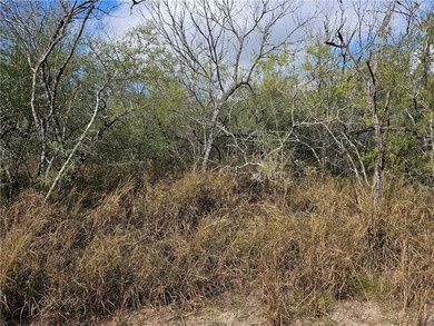Discover 10.474 acres of beautiful South Texas land in San - photo 18