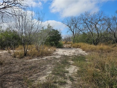 Discover 10.474 acres of beautiful South Texas land in San - photo 19