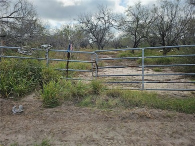 Discover 10.474 acres of beautiful South Texas land in San - photo 20