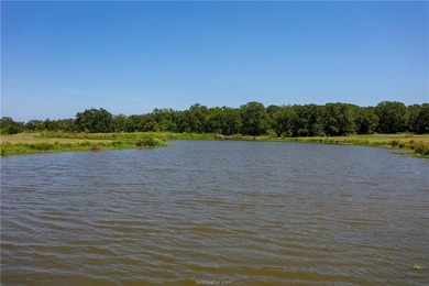 Prime undeveloped land located near several neighborhoods - photo 4