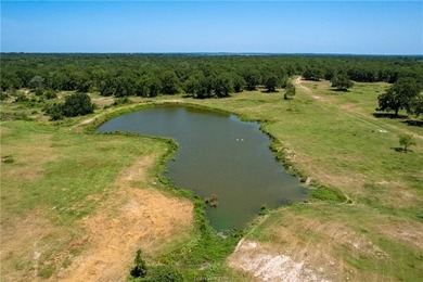 Prime undeveloped land located near several neighborhoods - photo 6