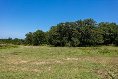 Prime undeveloped land located near several neighborhoods - photo 10