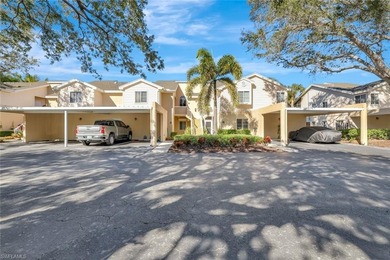 (private lake, pond, coastal) Condo For Sale in Naples Florida