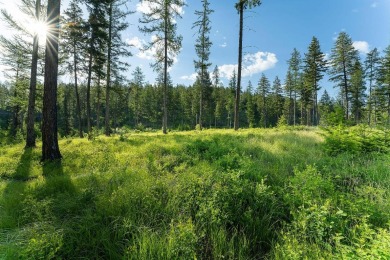 Lake Lot Off Market in Bigfork, Montana