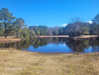 (private lake, pond, coastal) Acreage For Sale in Mcclellanville South Carolina