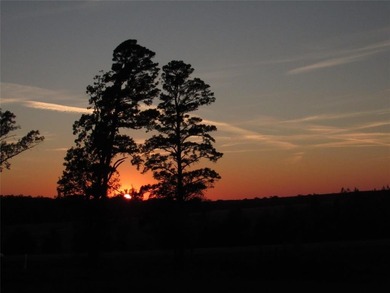 (private lake, pond, creek) Acreage For Sale in Gilmer Texas