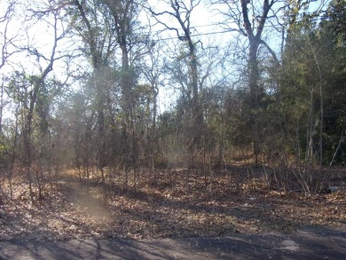 Lake Lot For Sale in Murchison, Texas