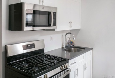 This sunlit, 1BDR apartment (top floor) has eastern and southern - photo 4