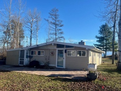 Lake Home For Sale in Oscoda, Michigan