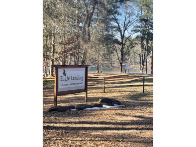 Waterfront lake lot for sale - photo 2