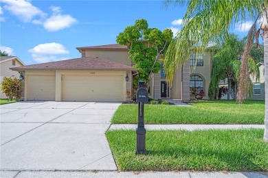 (private lake, pond, creek) Home For Sale in Riverview Florida