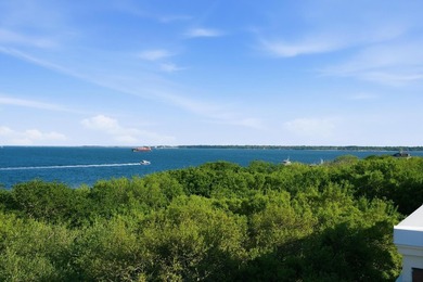 Positioned along the coveted waterfront in Charleston's historic - photo 49