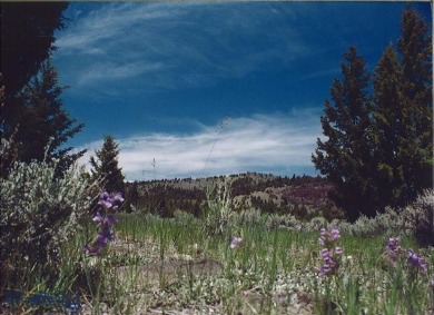 Lake Acreage For Sale in Ramsay, Montana