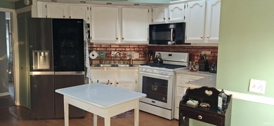 **Possible owner financing with down payment.** This darling 1 - photo 3
