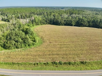 Lake Lot For Sale in Florala, Alabama