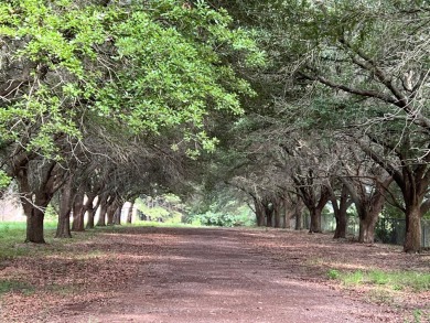 (private lake, pond, creek) Acreage For Sale in Tenaha Texas