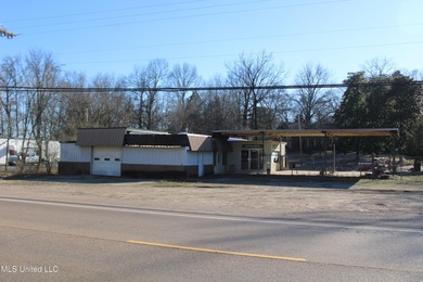 Shakoka Lake  Commercial For Sale in Olive Branch Mississippi