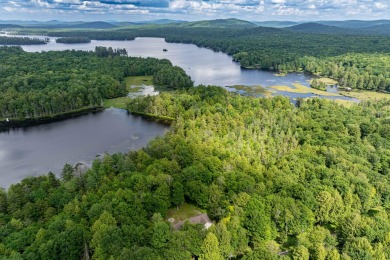 Lake Home For Sale in Old Forge, New York