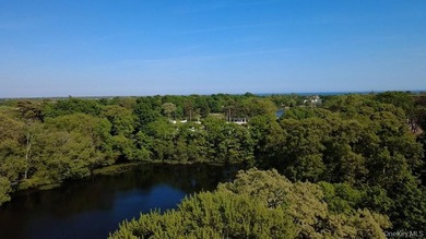 Lakefront opportunity in Lawrence Farms area of Bay Shore! - photo 6