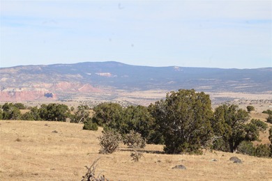 This rare and beautiful property offers truly commanding - photo 8