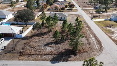 Lehigh Acres Area Lot For Sale in Lehigh Acres Florida