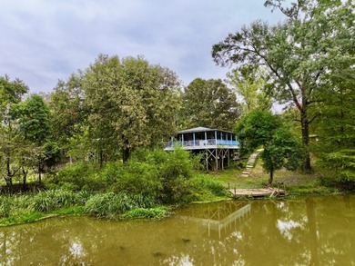 Turkey Lake Home For Sale in Coffeeville Alabama